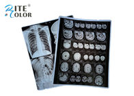 Planfilm-Radiologie-Darstellungs-Film HAUSTIER Basis-X Ray für Blätter Dr CT 100 pro Satz