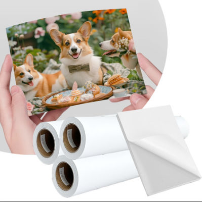 108gm wasserdichtes Pigmentfarbstoff Inkjet Matte beschichtetes Etiketten-Aufkleberpapier