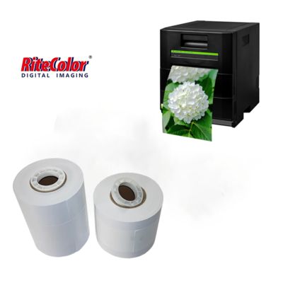 Großhandel Drylab Harz beschichtet Inkjet Glanz Druck Fotopapier Roll 260gsm