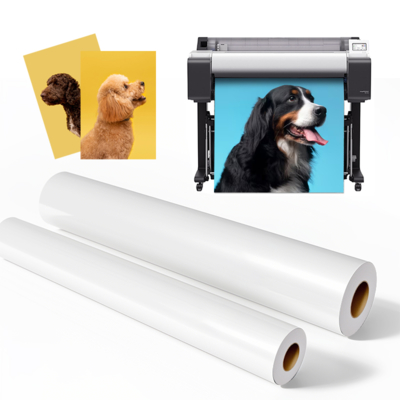 Mikroporöses RC-Fotopapier, glänzend, Rolle, 260 g/m² für Epson Großformatdrucker
