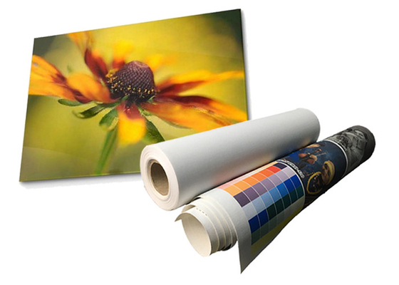 Latex Matte Waterproof Polyester Canvas Roll Eco lösliches 280gsm